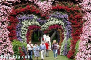 عکس های دیدنی و جالب جشنواره گل تا اجرای نمایش خیابانی