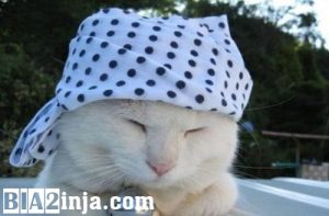 عکس های خنده دار (۳)