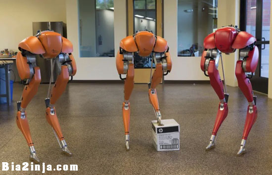 معرفی ربات دوپایی Cassie