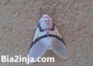 عکس های خنده دار (۸)