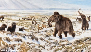 ۱۰ نکته جالب و خواندنی در مورد عصر یخبندان