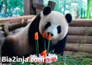 تصاویر ویژه روز و جالب دنیا