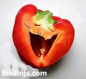 عکس های خنده دار (۷)