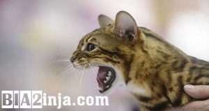 عکس های خنده دار (۱)